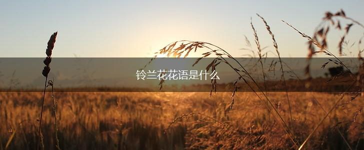 铃兰花花语是什么,第1张