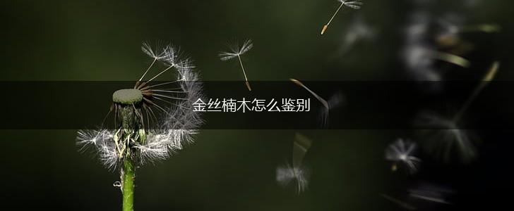 金丝楠木怎么鉴别,第1张