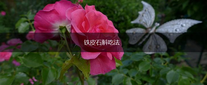 铁皮石斛吃法,第1张