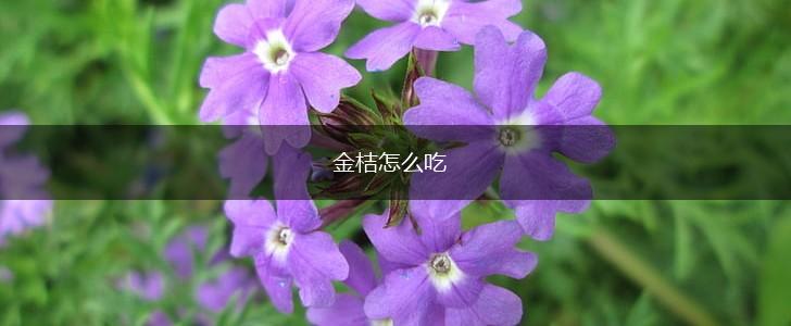 金桔怎么吃,第1张