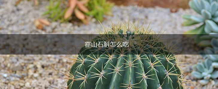 霍山石斛怎么吃,第1张