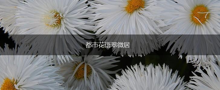 都市花语翠微居,第1张