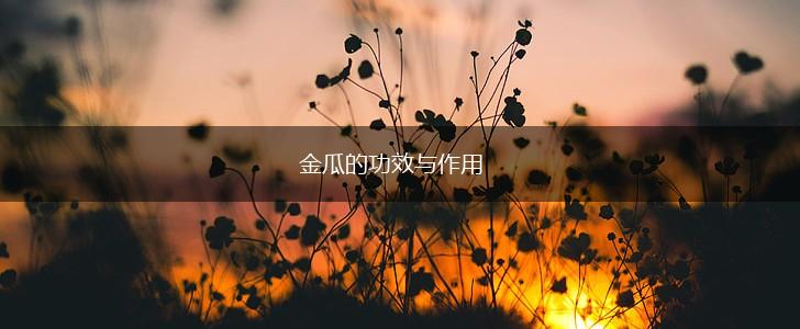 金瓜的功效与作用,第1张