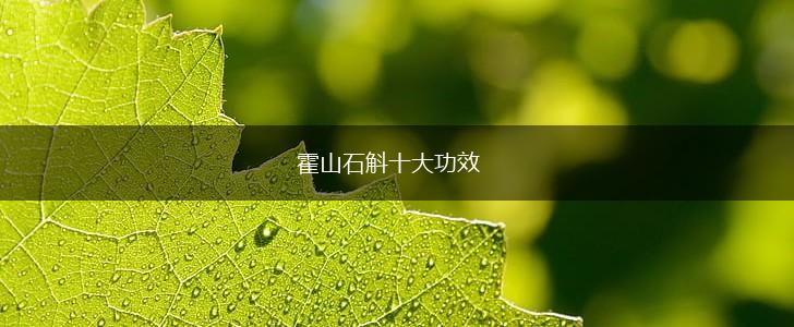 霍山石斛十大功效,第1张
