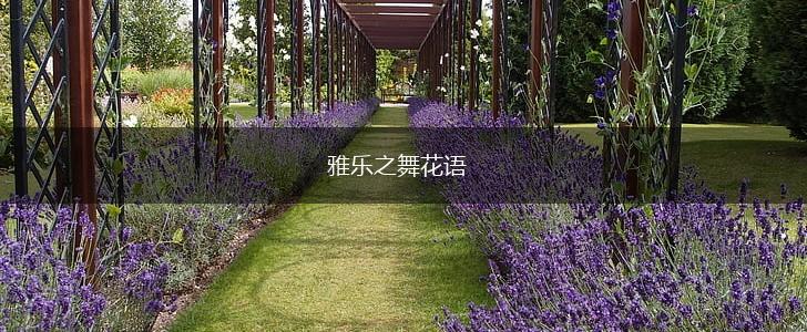 雅乐之舞花语,第1张