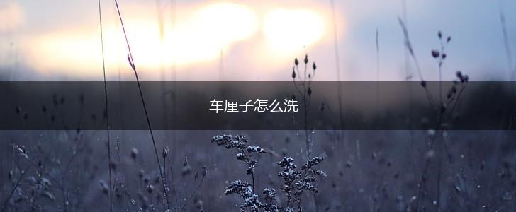 车厘子怎么洗,第1张