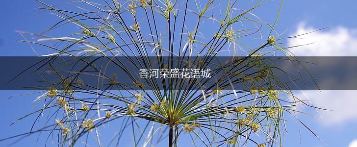 香河荣盛花语城,第1张