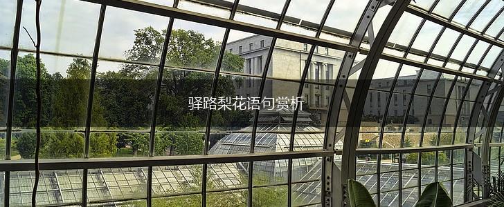 驿路梨花语句赏析,第1张