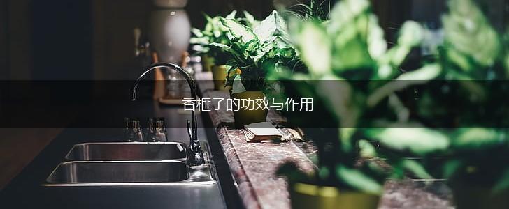 香榧子的功效与作用,第1张