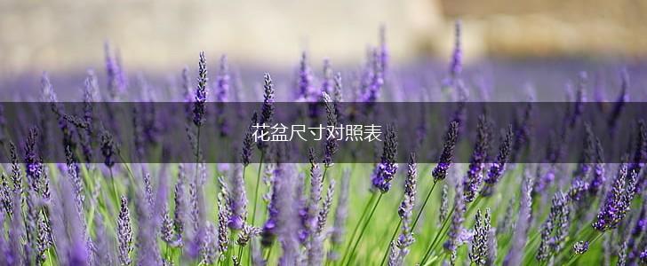 花盆尺寸对照表,第1张
