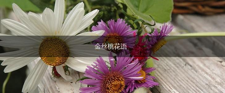 金丝桃花语,第1张 金丝桃花语,第1张