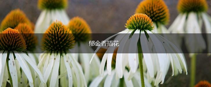 郁金香插花,第1张