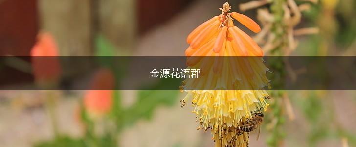 金源花语郡,第1张