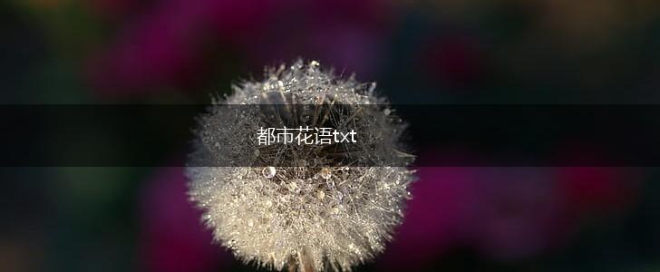 都市花语txt,第1张