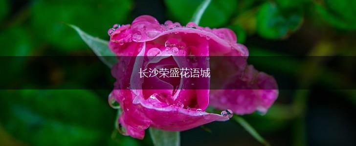 长沙荣盛花语城,第1张