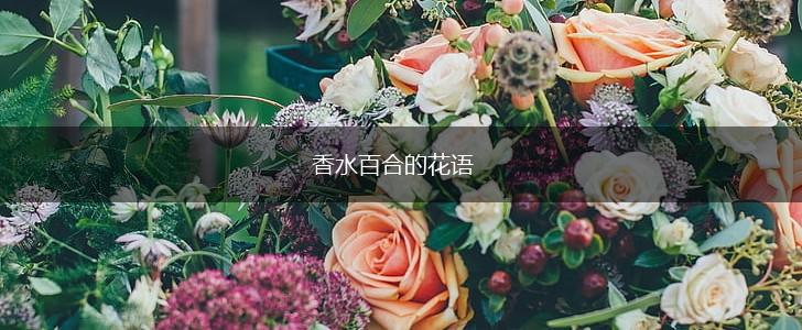 香水百合的花语,第1张
