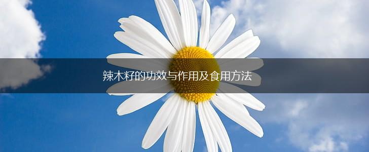 辣木籽的功效与作用及食用方法,第1张