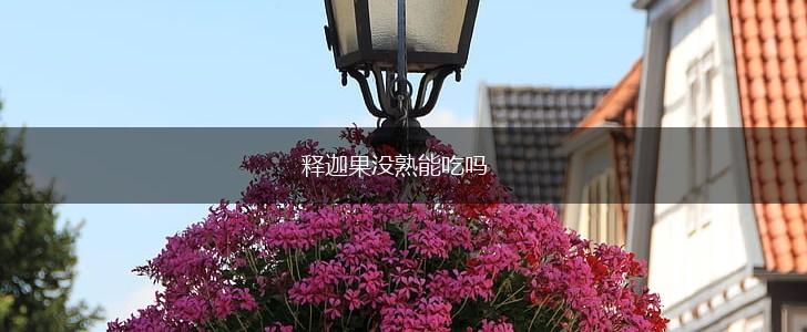 释迦果没熟能吃吗,第1张