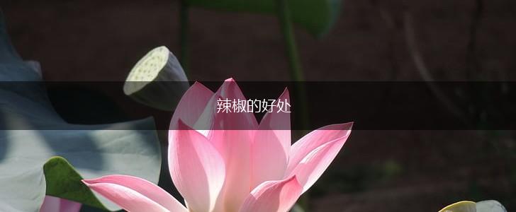 辣椒的好处,第1张