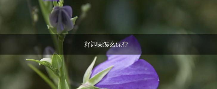 释迦果怎么保存,第1张