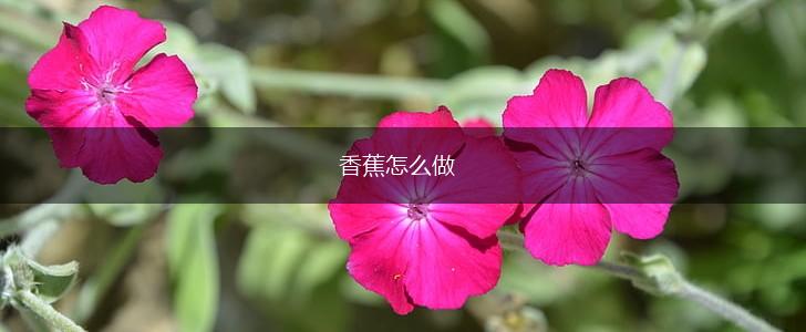 香蕉怎么做,第1张