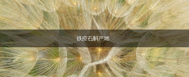 铁皮石斛产地,第1张