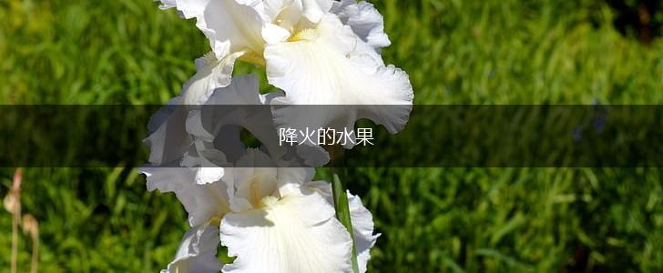 降火的水果,第1张