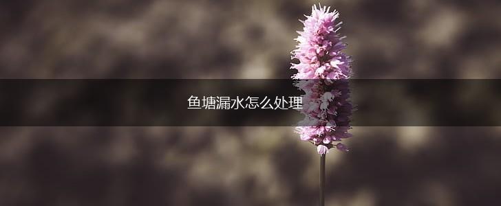 鱼塘漏水怎么处理,第1张