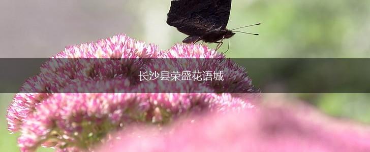 长沙县荣盛花语城,第1张