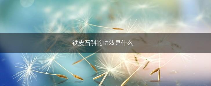 铁皮石斛的功效是什么,第1张