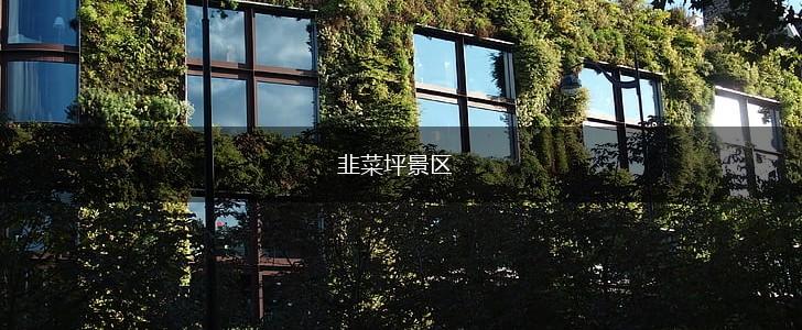 韭菜坪景区,第1张