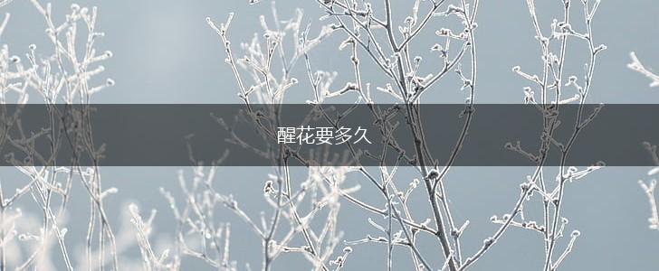 醒花要多久,第1张