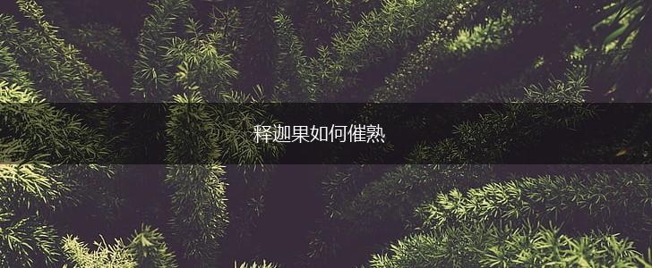 释迦果如何催熟,第1张