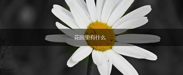 花园里有什么,第1张