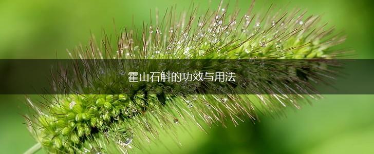 霍山石斛的功效与用法,第1张
