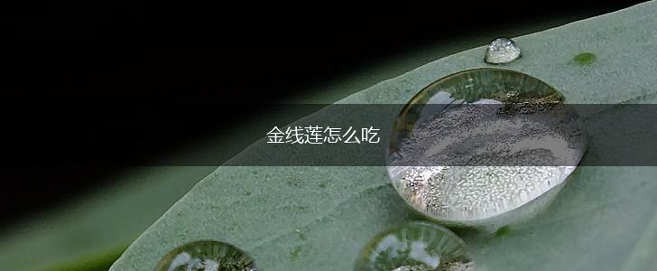 金线莲怎么吃,第1张