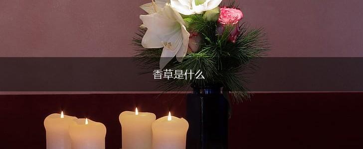 香草是什么,第1张