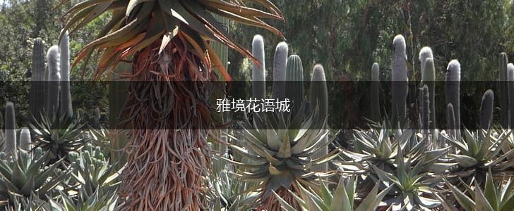 雅境花语城,第1张