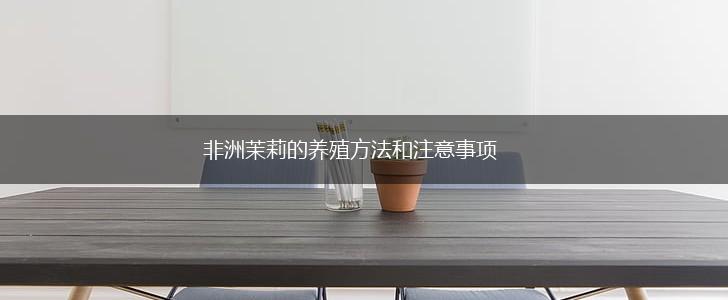 非洲茉莉的养殖方法和注意事项,第1张