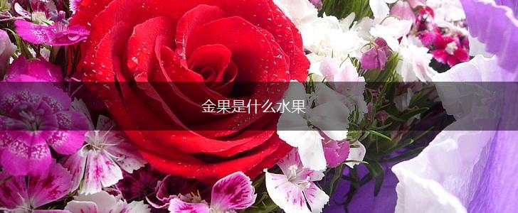 金果是什么水果,第1张