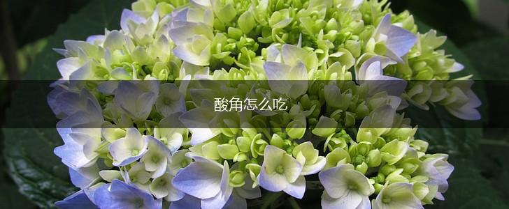 酸角怎么吃,第1张