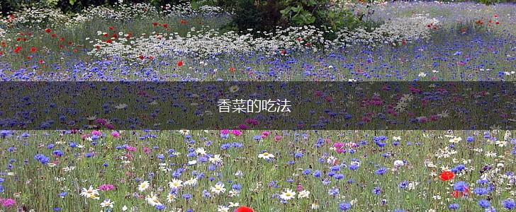 香菜的吃法,第1张