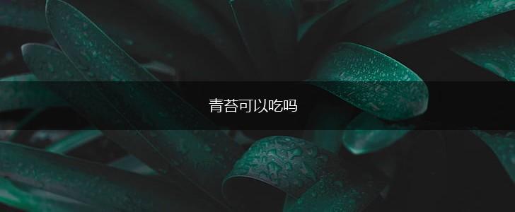 青苔可以吃吗,第1张