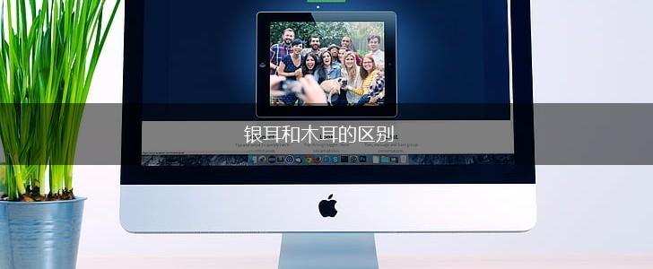 银耳和木耳的区别,第1张