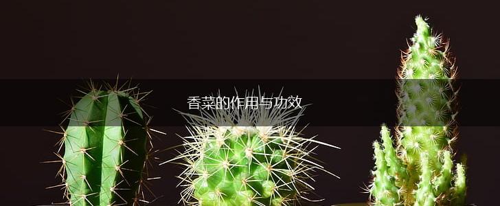 香菜的作用与功效,第1张