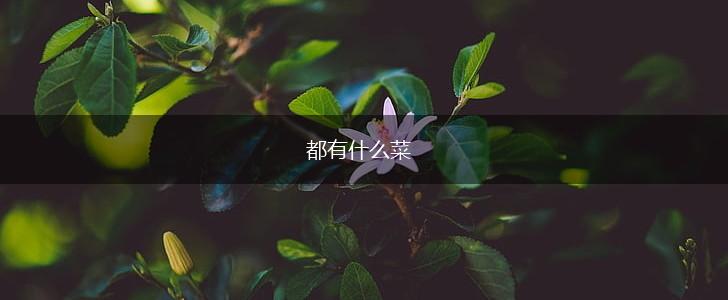 都有什么菜,第1张
