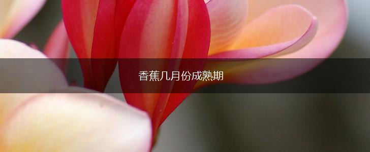 香蕉几月份成熟期,第1张