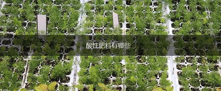 酸性肥料有哪些,第1张