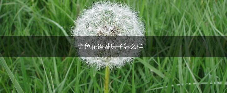金色花语城房子怎么样,第1张