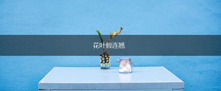 花叶假连翘,第1张